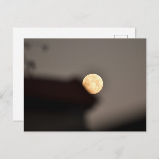 月 ポストカード (正面/裏面)
