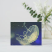月 jellyfish ポストカード (スタンド正面)