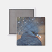 有冠の鳩 マグネット (正面/裏面)