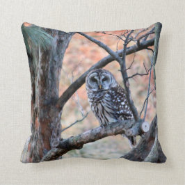 有刺型ふくろう クッション