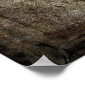 有刺星テキサス州 ポスター (角)