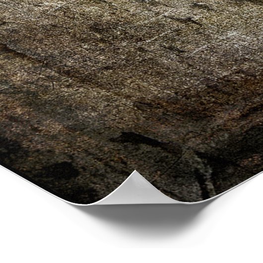 有刺星テキサス州 ポスター (角)