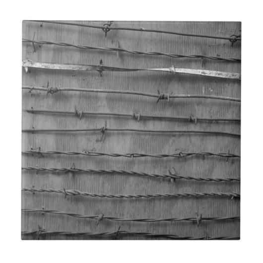 有刺線 タイル (正面)