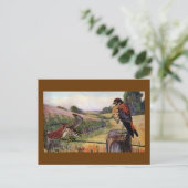 有刺鉄柵の上のアメリカのケストレル ポストカード (スタンド正面)