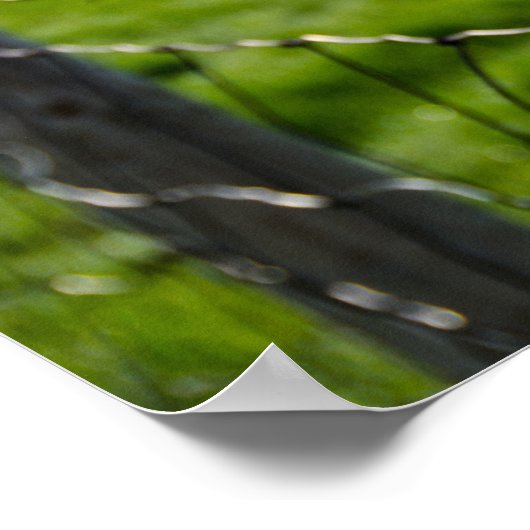 有刺鉄柵 ポスター (角)