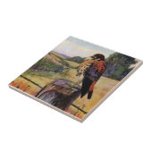 有刺鉄線の塀のアメリカのKestrel タイル (側面)