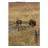 有刺鉄線 (正面)