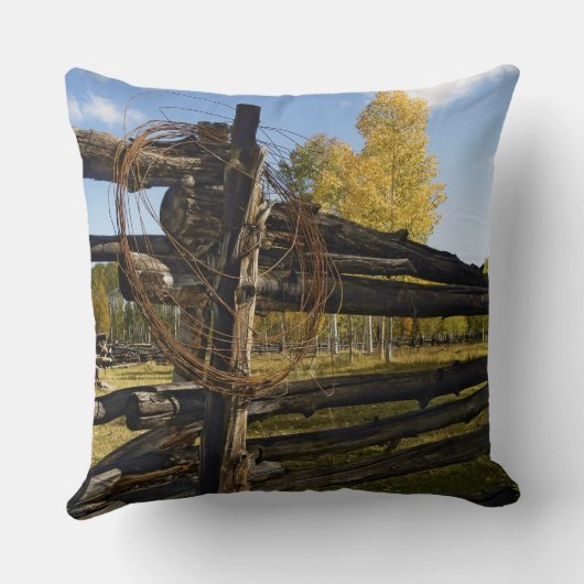 有刺鉄線 クッション (裏面)