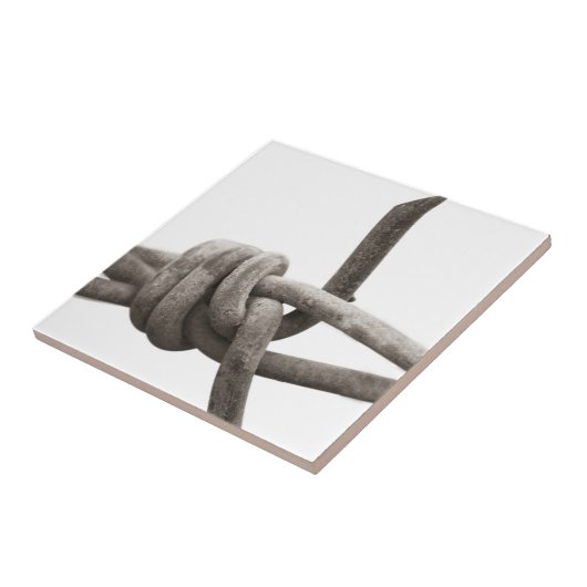 有刺鉄線 タイル (側面)