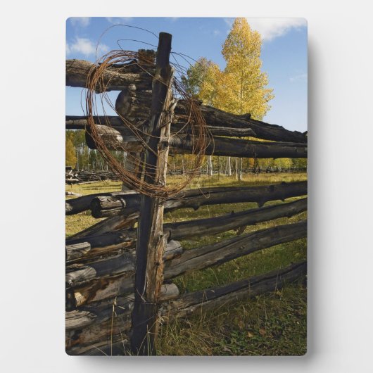 有刺鉄線 フォトプラーク (正面)