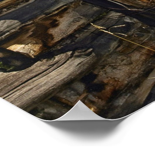 有刺鉄線 ポスター (角)