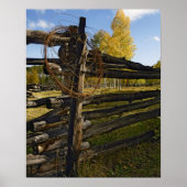 有刺鉄線 ポスター (正面)