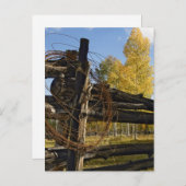 有刺鉄線 ポストカード (正面/裏面)