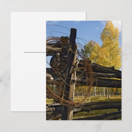 有刺鉄線 ポストカード (正面/裏面)