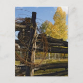 有刺鉄線 ポストカード (正面)