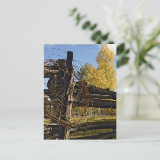 有刺鉄線 ポストカード (スタンド正面)