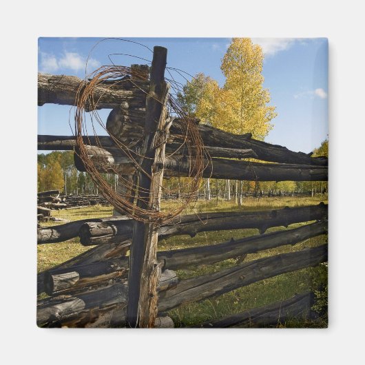 有刺鉄線 マグネット (正面)