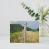 有刺鉄線Fencepost ポストカード (スタンド正面)