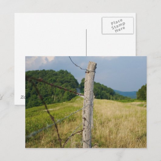 有刺鉄線Fencepost ポストカード (正面/裏面)