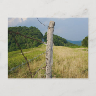 有刺鉄線Fencepost ポストカード