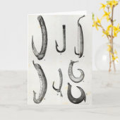 有史以前および未開の釣鉤 カード (黄色い花)