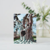 有名なウィザードムービーツリー シーズンポストカード (スタンド正面)