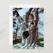 有名なウィザードムービーツリー シーズンポストカード (正面/裏面)