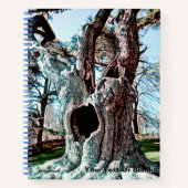 有名なウィザードムービーツリー ノートブック (正面)