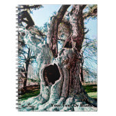 有名なウィザードムービーツリー ノートブック (正面)