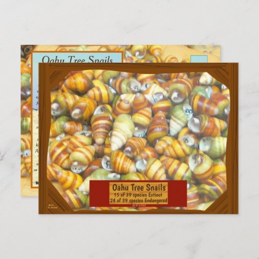 有名なオアフ木のかたつむりは絶えている行っています- ポストカード (正面/裏面)