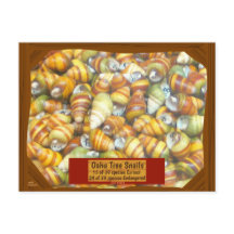 有名なオアフ木のかたつむりは絶えている行っています-