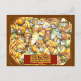 有名なオアフ木のかたつむりは絶えている行っています- ポストカード