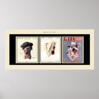 有名なピットの雄牛 ポスター