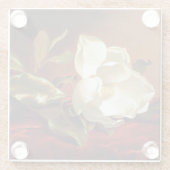 有名なベルベットのマグノリア絵画が ガラスコースター (裏面)