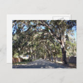 有名なマグノリア通りセントオーガスティンフロリダ州 ポストカード (正面/裏面)