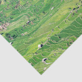 有名なユアンヤンライステラス – 雲南省、中国 薄葉紙 (詳細)