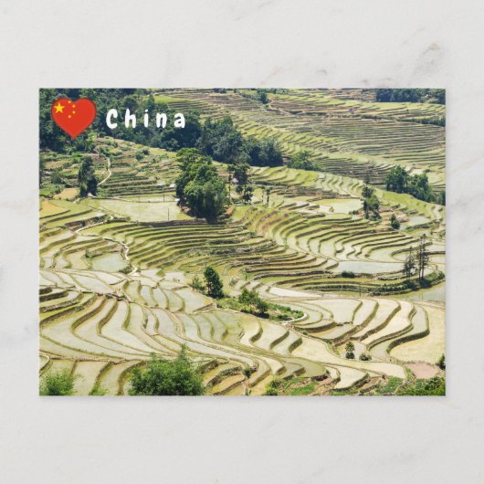 有名なユアン ヤン 棚田 - 云南省, 中国 ポストカード (正面)