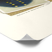 有名なユニオンコマンダー1884 ポスター (角)