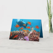 有名な人魚 カード (正面)