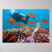 有名な人魚 ポスター (正面)