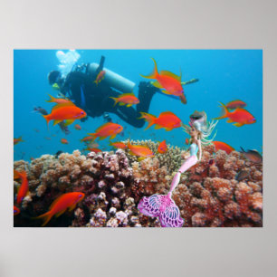 有名な人魚 ポスター