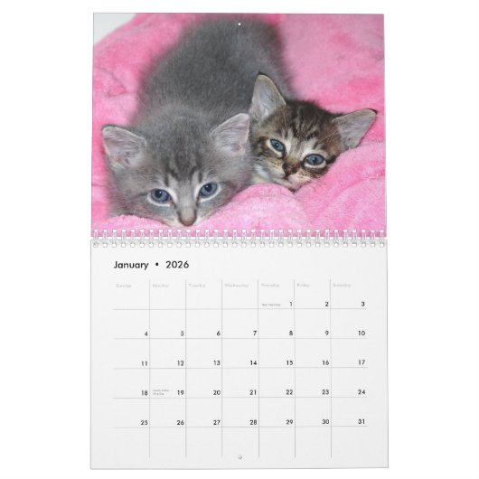 有名な奇跡のManxカレンダー カレンダー (1月 2026)