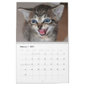 有名な奇跡のManxカレンダー カレンダー (2月 2027)