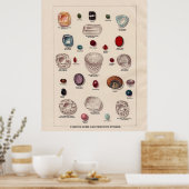 有名な宝石と大切石 ポスター (キッチン)