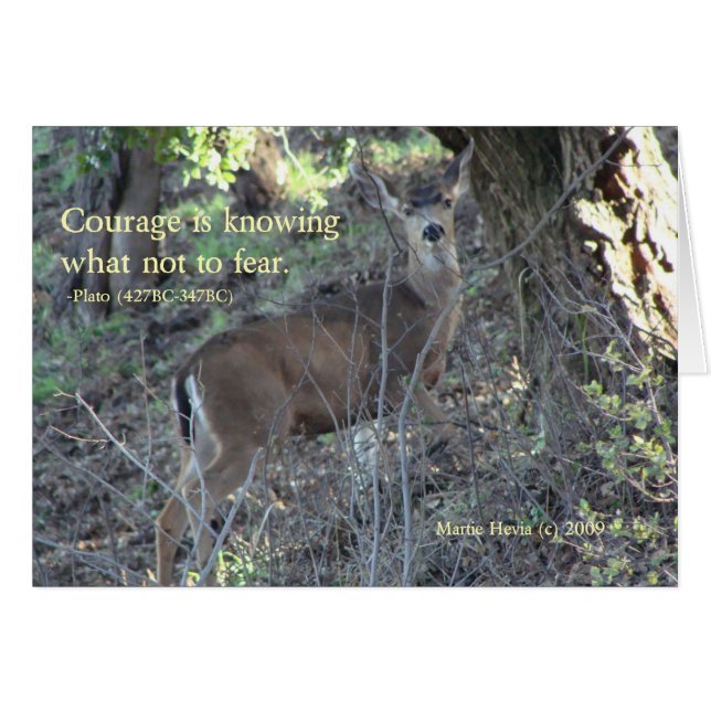有名な言葉：勇気 – 鹿グリーティングカード (正面横)