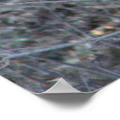 有名な言葉:勇気 – 鹿 – ポスター (角)