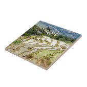 有名な雲南省のジュアン・ユアン（鴛鴦）梯田 - 中国雲南省 タイル (側面)