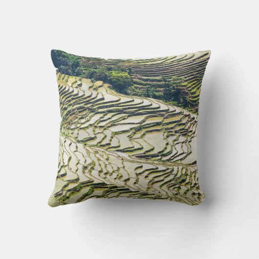 有名な雲南省の梯田 - 中国雲南省 クッション (裏面)