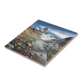 有名なFitzローイ タイル (側面)