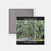 有名マグノリアアベニュー マグネット (正面/裏面)